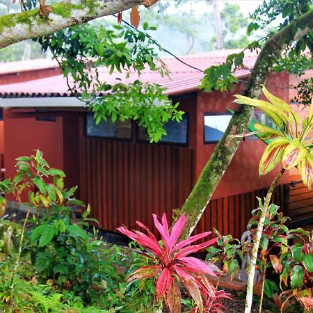 Willa Casitas Eco Bambu Cartago Zewnętrze zdjęcie