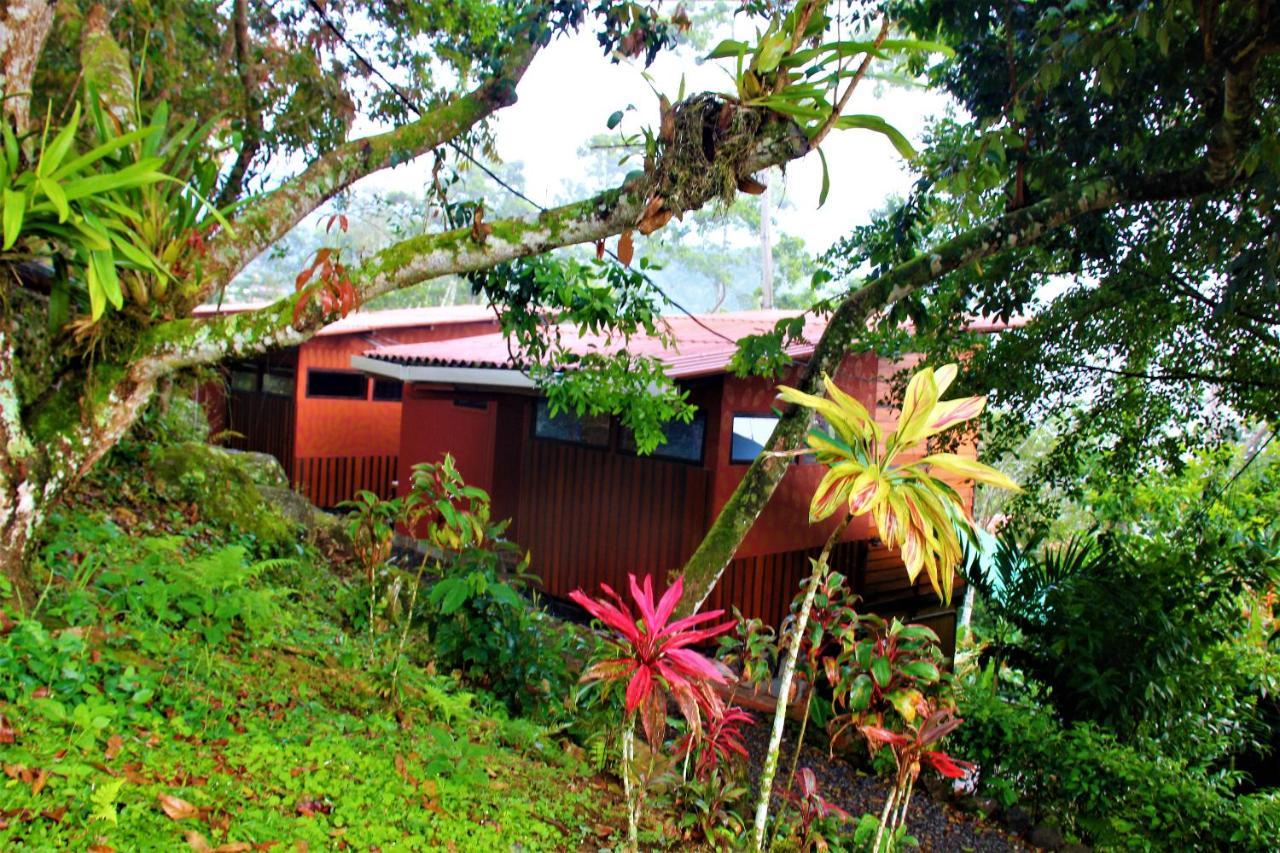 Willa Casitas Eco Bambu Cartago Zewnętrze zdjęcie