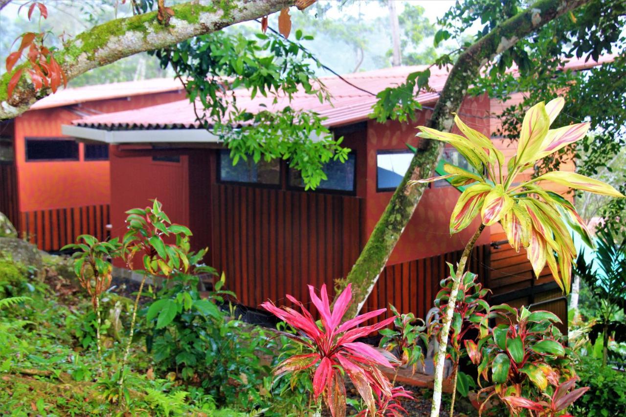 Willa Casitas Eco Bambu Cartago Zewnętrze zdjęcie